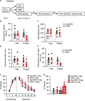 Traumatic Stress Produces Distinct Activations of GABAergic and Glutamatergic Neurons in Amygdala